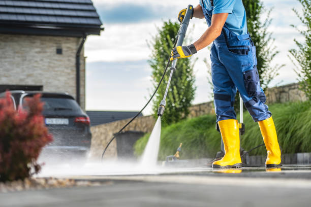Animal Enclosure Cleaning in Collinsburg, PA
